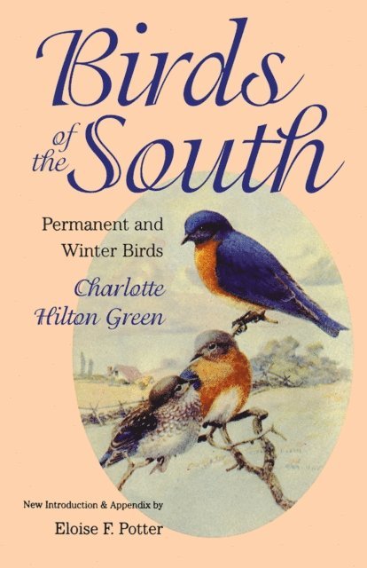 Charlotte Hilton Green - Birds of the South, E-bok