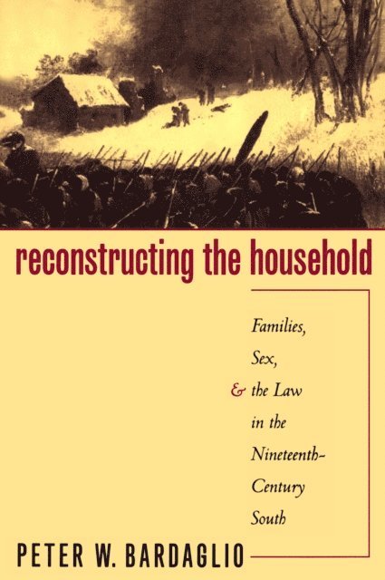Peter W. Bardaglio - Reconstructing the Household, E-bok