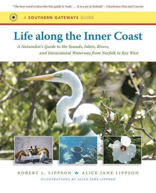Alice Jane Lippson, Robert L. Lippson - Life along the Inner Coast, E-bok. Tillgänglighet: Lägg i varukorg