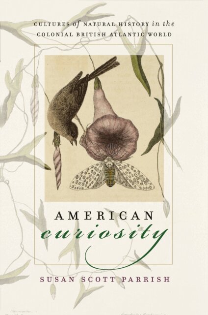 Susan Scott Parrish - American Curiosity, E-bok