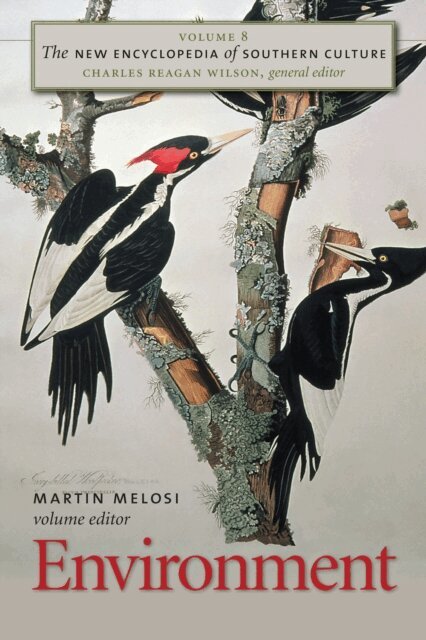 Martin V. Melosi - New Encyclopedia of Southern Culture, E-bok
