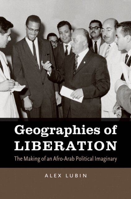 Alex Lubin - Geographies of Liberation, E-bok