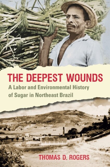 Thomas D. Rogers - Deepest Wounds, E-bok