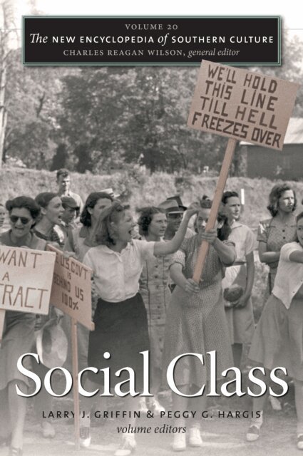 Peggy G. Hargis, Larry J. Griffin - New Encyclopedia of Southern Culture, E-bok