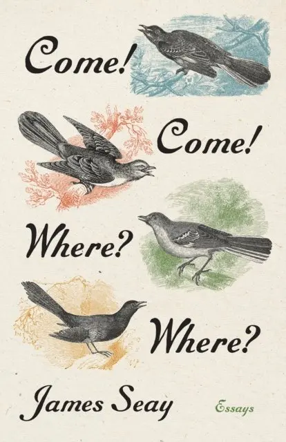 James Seay - Come! Come! Where? Where?, E-bok. Tillgänglighet: Lägg i varukorg