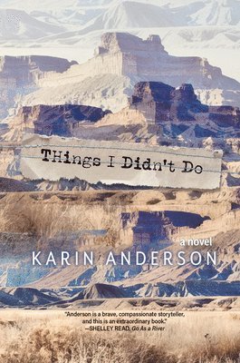 Karin Anderson - Things I Didn't Do, Häftad. Tillgänglighet: Lägg i varukorg