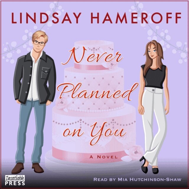 Lindsay Hameroff - Never Planned on You, Ljudbok
