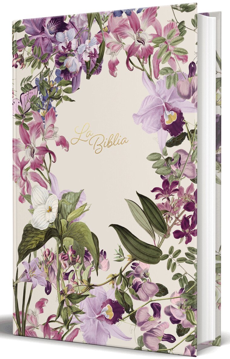 Biblia de América - La Biblia Católica: Edición letra grande. Tapa dura, morada con flores / Catholic Bible: Large Print, Hard Cover, Purple with flowers, Inbunden