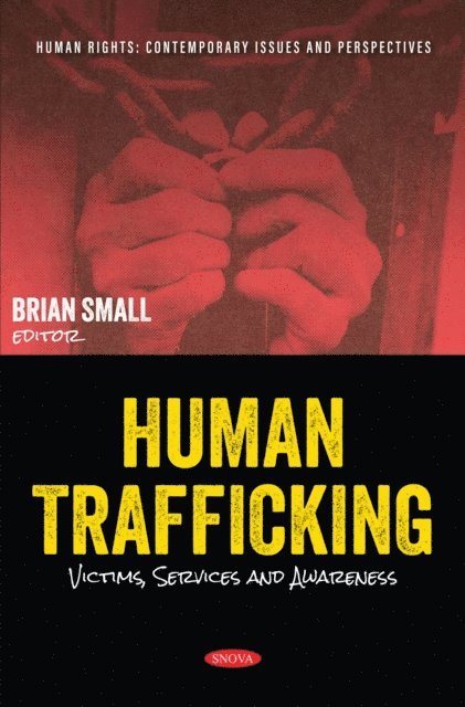 Brian Small - Human Trafficking: Victims, Services and Awareness, E-bok
