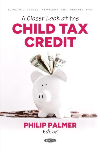 Philip Palmer - Closer Look at the Child Tax Credit, E-bok
