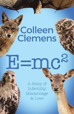E=mc2