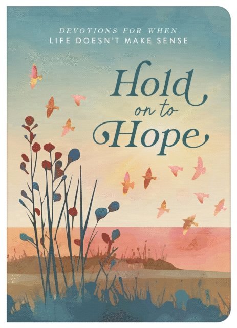 Sheila Thomas - Hold on to Hope, E-bok