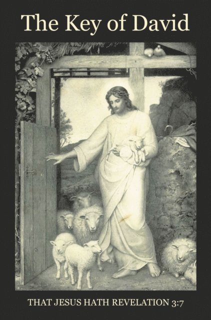 Gary Robinson - Key of David, E-bok