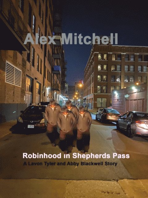 Alex Mitchell - Robinhood at Shepherds Pass, E-bok