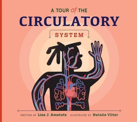 Lisa J. Amstutz - A Tour of the Circulatory System, Inbunden