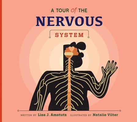 Lisa J. Amstutz - A Tour of the Nervous System, Inbunden