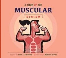 Lisa J. Amstutz - A Tour of the Muscular System, Häftad