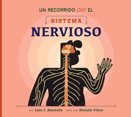 Lisa J. Amstutz - Un Recorrido Por El Sistema Nervioso: Spanish Edition, Häftad
