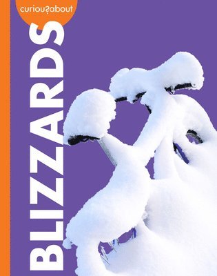 Rachel Grack - Curious about Blizzards, Inbunden