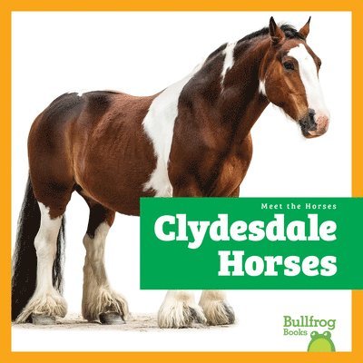 Rachel Grack - Clydesdale Horses, Inbunden. Tillgänglighet: Lägg i varukorg