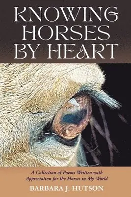 Barbara J Hutson - Knowing Horses by Heart, Häftad. Tillgänglighet: Lägg i varukorg
