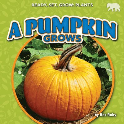 Rex Ruby - A Pumpkin Grows, Inbunden