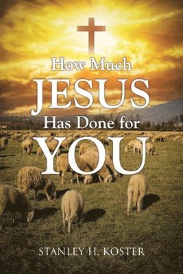 Stanley H Koster - How Much Jesus Has Done For You, Häftad