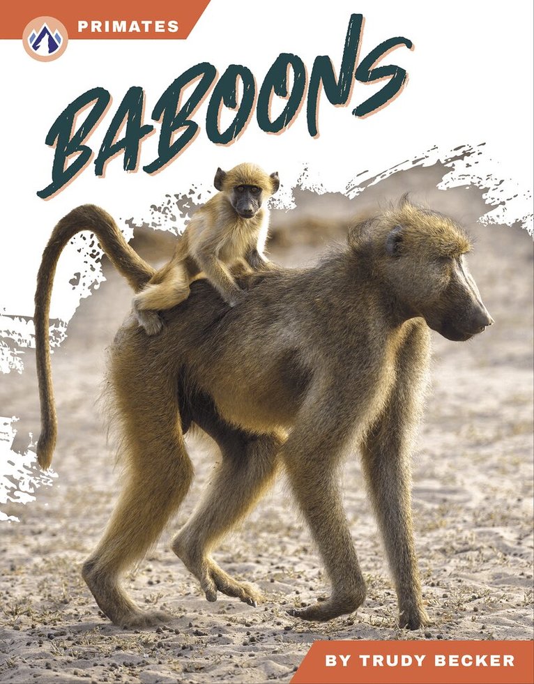 Baboons