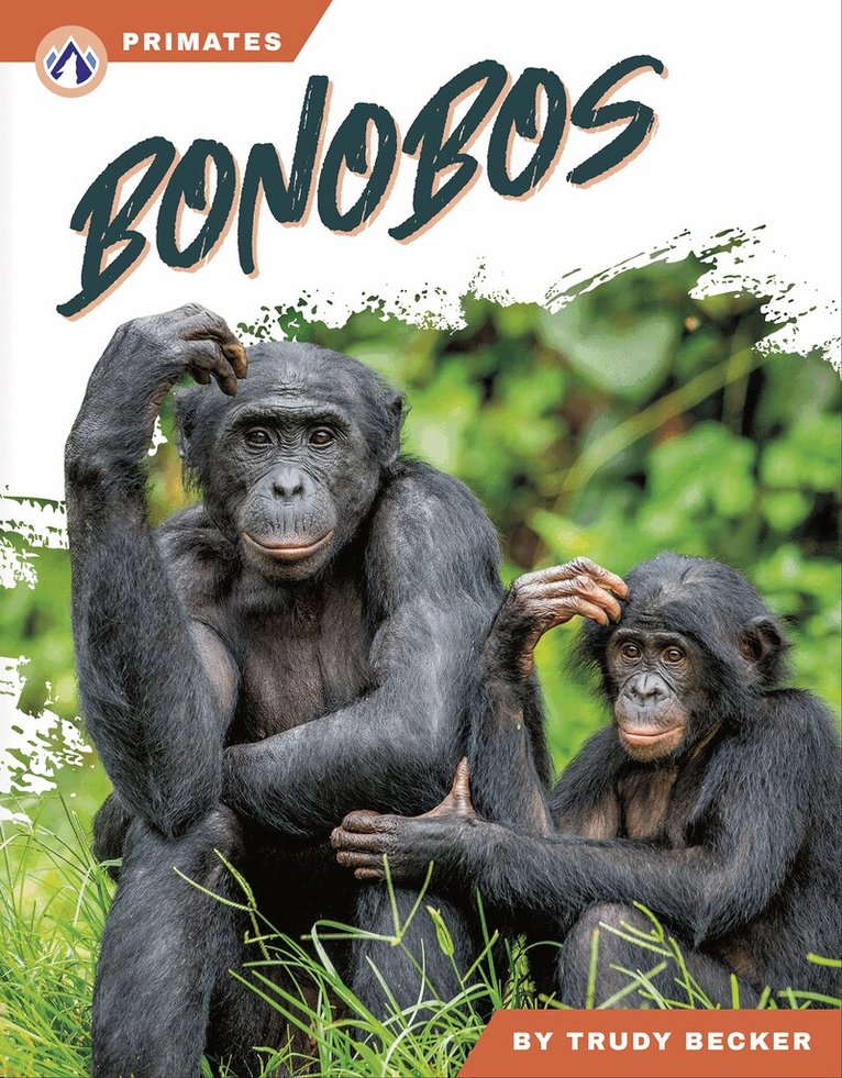 Bonobos