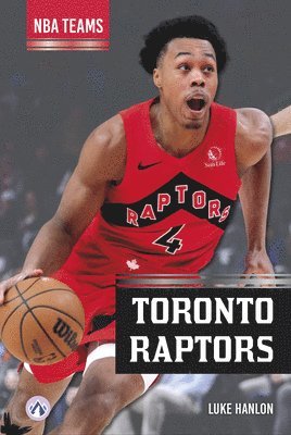Luke Hanlon - Toronto Raptors, Häftad