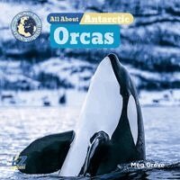 Meg Greve - All about Antarctic Orcas, Inbunden
