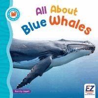 Kerrily Sapet, Morgan Brody - All about Blue Whales, Inbunden