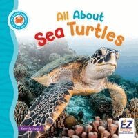 Kerrily Sapet, Morgan Brody - All about Sea Turtles, Inbunden