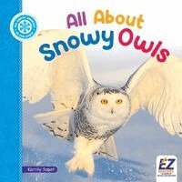 Kerrily Sapet, Morgan Brody - All about Snowy Owls, Inbunden