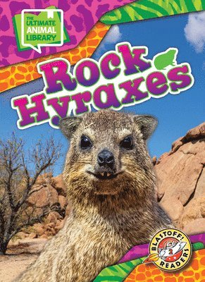 Rock Hyraxes
