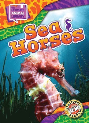 Sea Horses