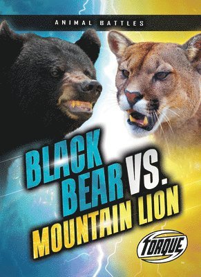 Nathan Sommer - Black Bear vs. Mountain Lion, Inbunden. Tillgänglighet: Lägg i varukorg