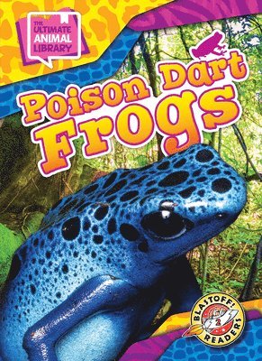 Poison Dart Frogs