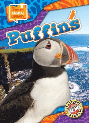 Puffins