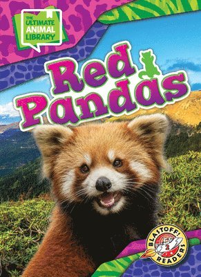 Red Pandas