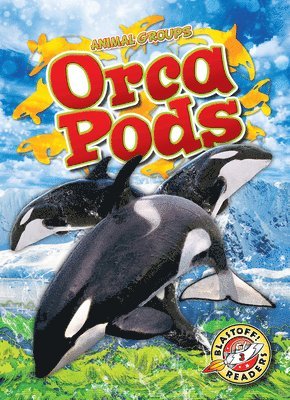 Orca Pods