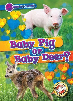 Mari C. Schuh - Baby Pig or Baby Deer?, Inbunden