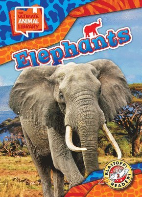 Elephants
