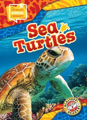 Chris Bowman - Sea Turtles, Inbunden