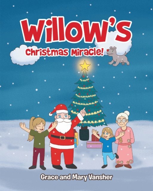 Mary Vansher, Grace - Willow's Christmas Miracle!, E-bok