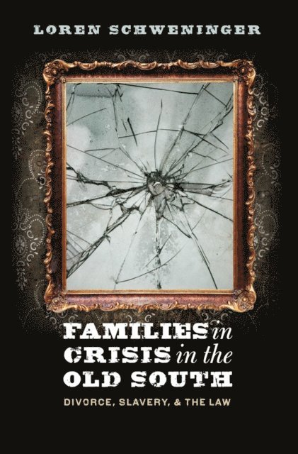 Loren Schweninger - Families in Crisis in the Old South, E-bok