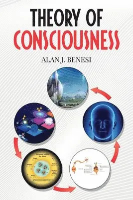 Alan Benesi - Theory of Consciousness, Häftad. Tillgänglighet: Lägg i varukorg