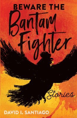David Santiago - Beware the Bantam Fighter: Stories, Häftad