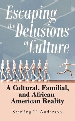 Sterling Anderson - Escaping the Delusions of Culture, Häftad. Tillgänglighet: Lägg i varukorg