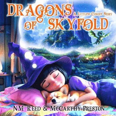 Nm Reed, McCarthy Preston - Dragons of Skyfold, Häftad